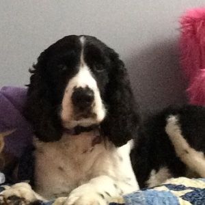 Meet your Posher, Stacy