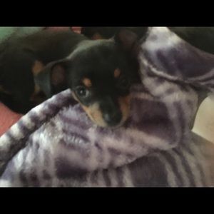 Meet your Posher, Sheri