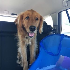 Meet your Posher, Kelly