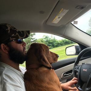 Meet your Posher, Cole