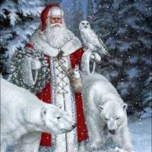 Meet your Posher, Caitlyn