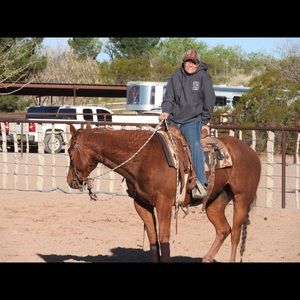 Meet your Posher, Audra