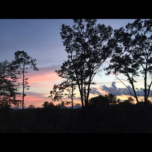 Meet your Posher, Sammie - Picture 1 of 1