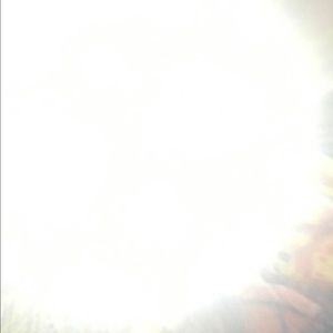 Meet your Posher, Yesenia