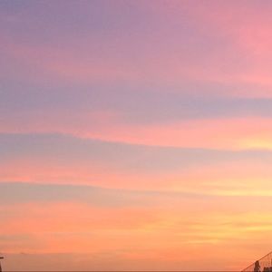 Meet your Posher, Marley