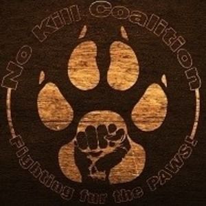 Meet your Posher, Nathan