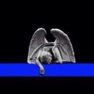 Meet your Posher, Matt n leesa