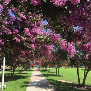 Meet your Posher, Colleen