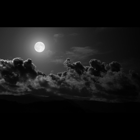 Meet your Posher, Kristen