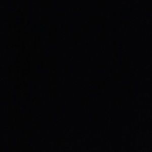 Meet your Posher, Lacey