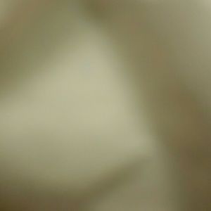 Meet your Posher, Hunter