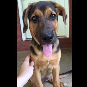 Meet your Posher, Andra