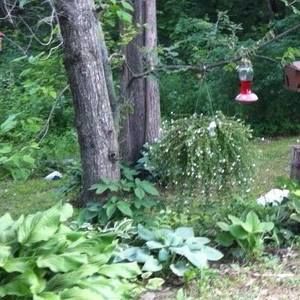 Meet your Posher, Vicky