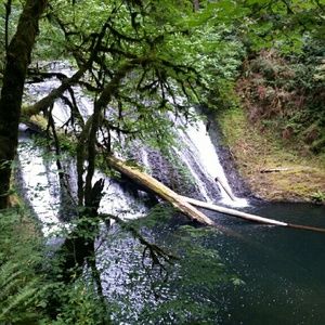 Meet your Posher, Lina