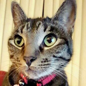 Meet your Posher, Maria