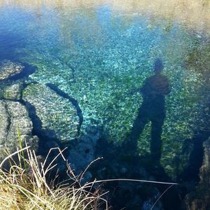 Meet your Posher, Barbara