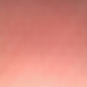 Meet your Posher, Guadalupe