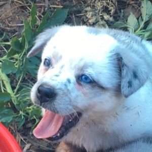 Meet your Posher, Haley