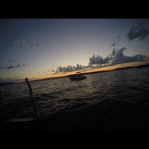 Meet your Posher, Bella