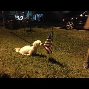 Meet your Posher, Valerie