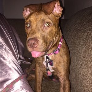 Meet your Posher, Michelle