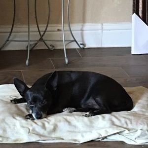 Meet your Posher, Irma