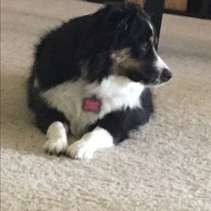 Meet your Posher, Kim