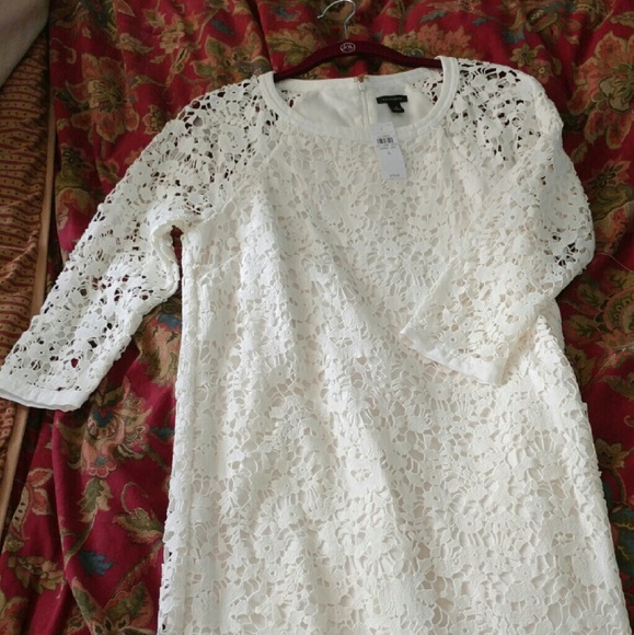 Ann Taylor Loft dress