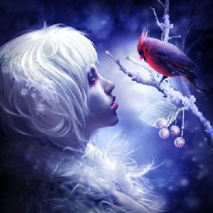 Meet your Posher, Morgan