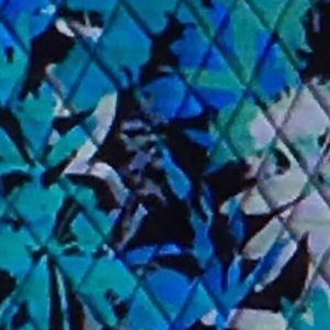 Meet your Posher, Ally