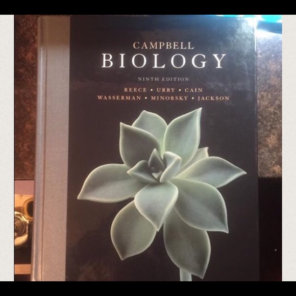 Bundle - Picture 1 of 2