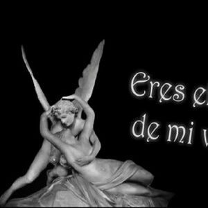 Meet your Posher, Eneida