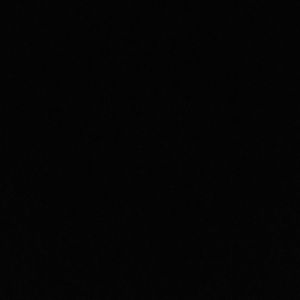 Meet your Posher, Savannah