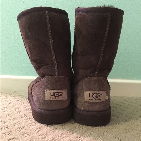 FLASH SALE Dark Brown Short Ugg Boots