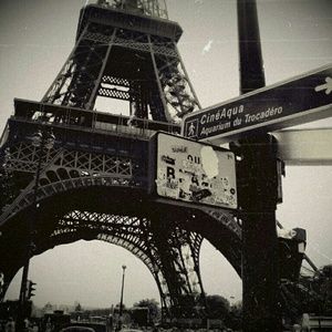 Meet your Posher, Ann