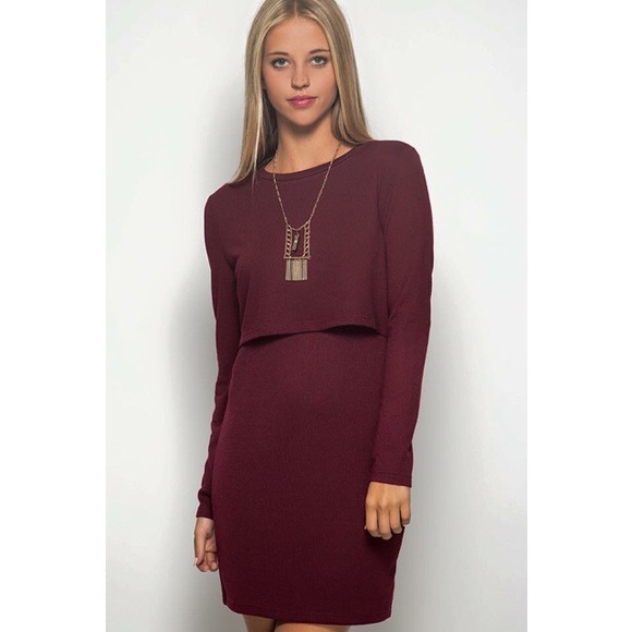 Long Sleeve Triangle Back Dress - Picture 3 of 4