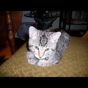 Meet your Posher, June