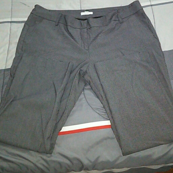 Dress Pants