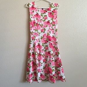 H&M Rose Dress