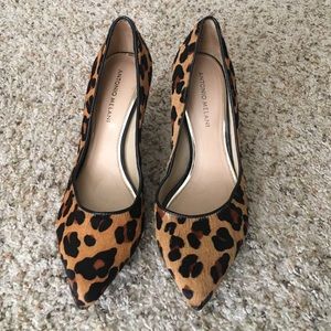 Antonio Melani cheetah heels