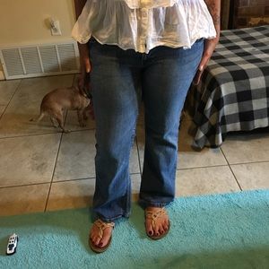 Arizona Jean Company fabulous jeans! 👌🏽🎉