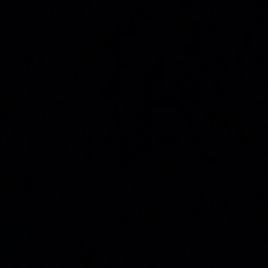 Meet your Posher, Susie