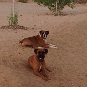 Meet your Posher, Jen