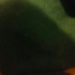 Meet your Posher, Lacey