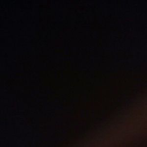 Meet your Posher, Cheyenne