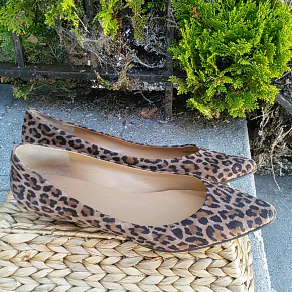 Stuart Weitzman Leopard  Suede Pointed Flats - Picture 3 of 3