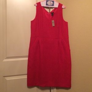 LOFT sheath in beautiful textured fabric - sz 16