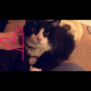 Meet your Posher, Addie