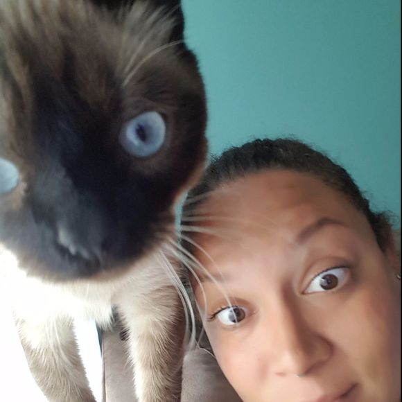 Meet your Posher, Chandler