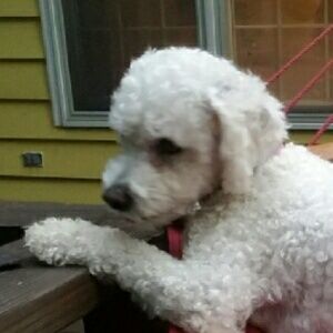 Meet your Posher, Sally